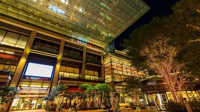 マザーインディア - メイン写真: