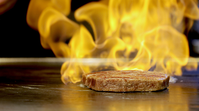 ひまわり - メイン写真: