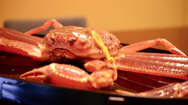 浜町 緒ばた - メイン写真: