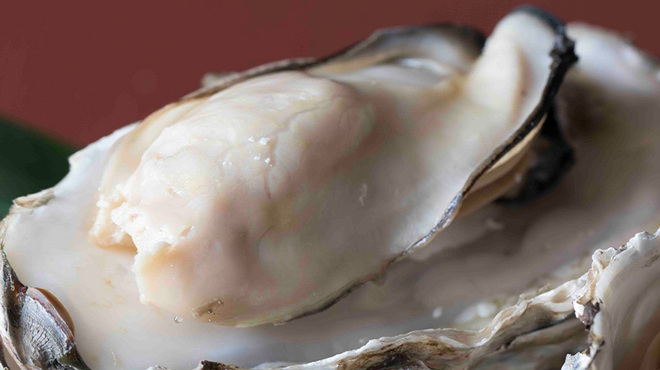 Waraku Seafood Sakaba