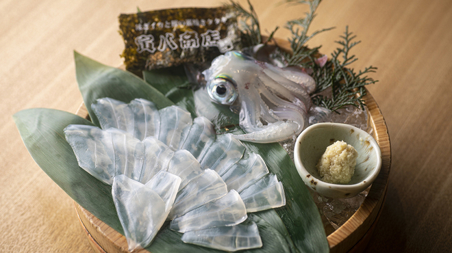 背景