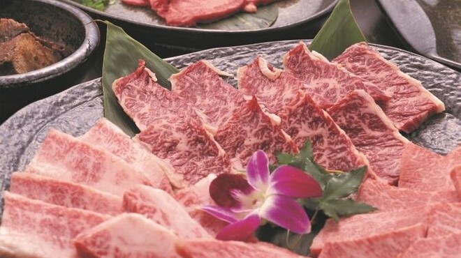 しらさぎ - メイン写真: