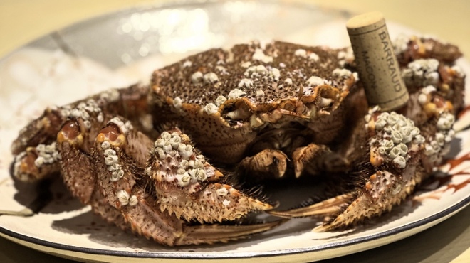 あんちゅう - メイン写真: