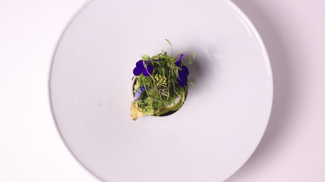 Ristorante Angelo - メイン写真: