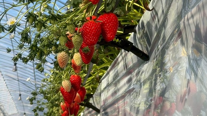 Bi*fuku - メイン写真: