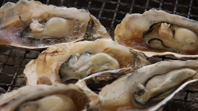 굴 고야・바베큐 하나하나