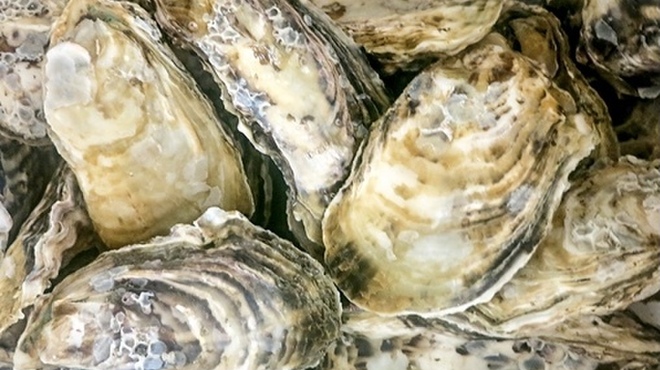 굴 고야・바베큐 하나하나