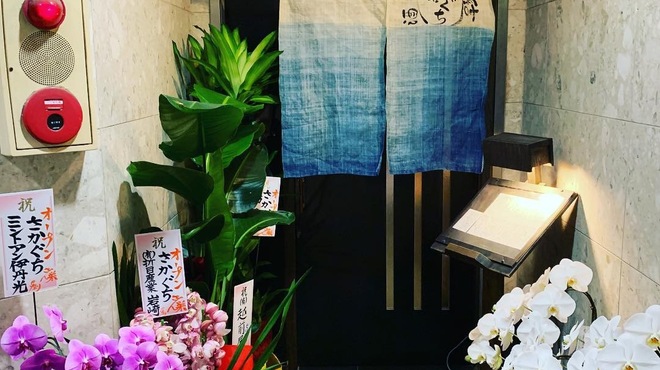 酒肴結 さかぐち - メイン写真: