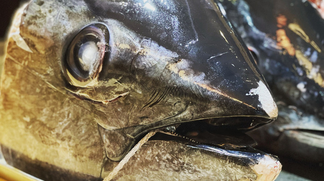 百萬石 - メイン写真: