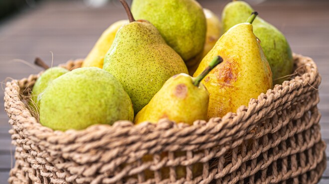 THE WAREHOUSE - 料理写真:洋梨の収穫祭