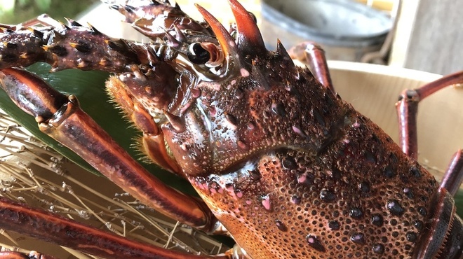 民家おにわ - メイン写真: