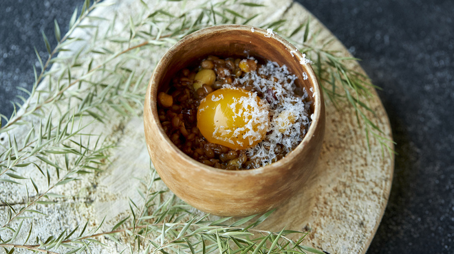 KURKKU FIELDS perus - メイン写真: