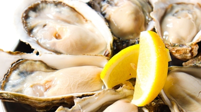 赤坂元気(仮) - メイン写真: