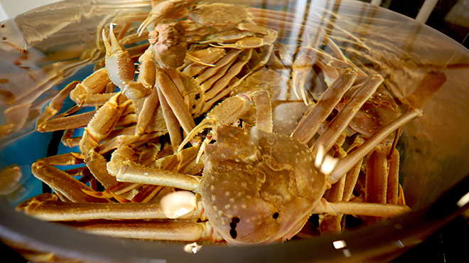 かに道楽 - メイン写真: