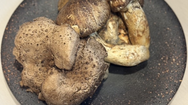 神戸牛炉釜炭焼ステーキ銀座一宮 - メイン写真: