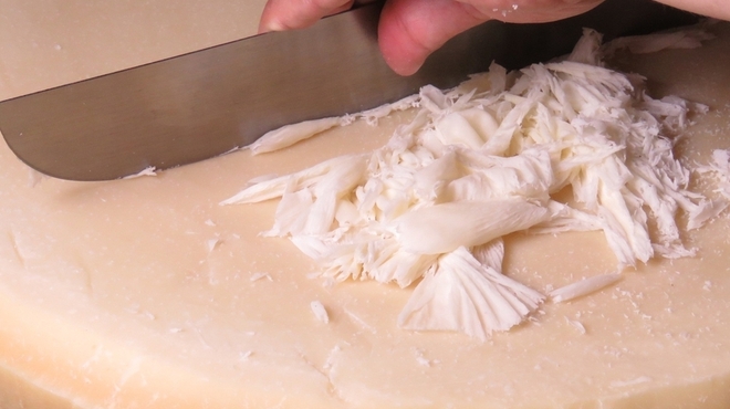 パスタバル スプーニャ - メイン写真: