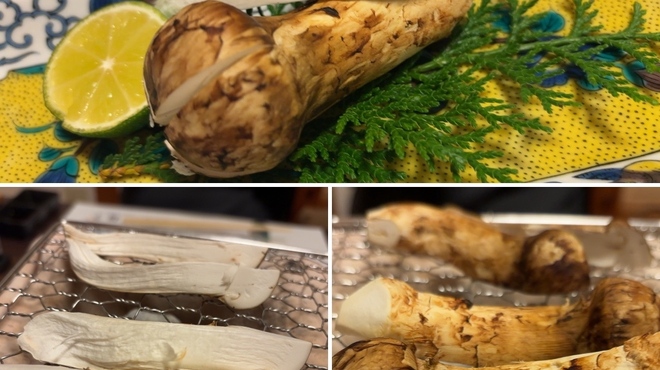 四季のあじわい 松籟亭 - 料理写真: