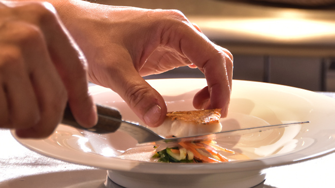 Le Grand Arbre - メイン写真: