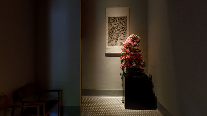 虎白 - メイン写真: