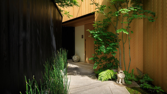 虎白 - メイン写真: