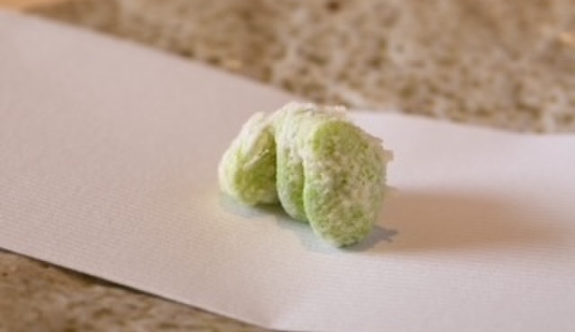 ぬまた 双 - メイン写真: