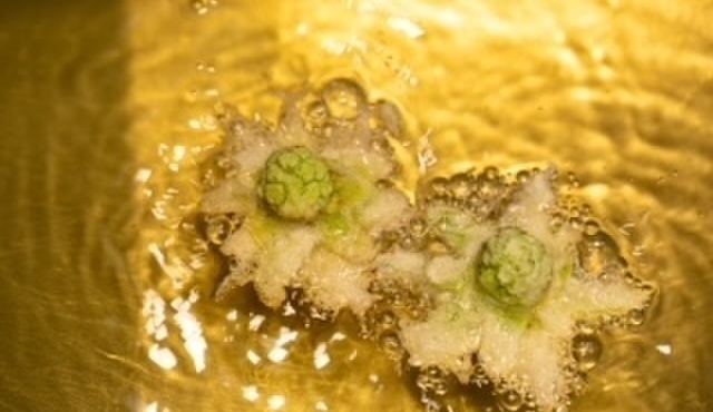 ぬまた 双 - メイン写真: