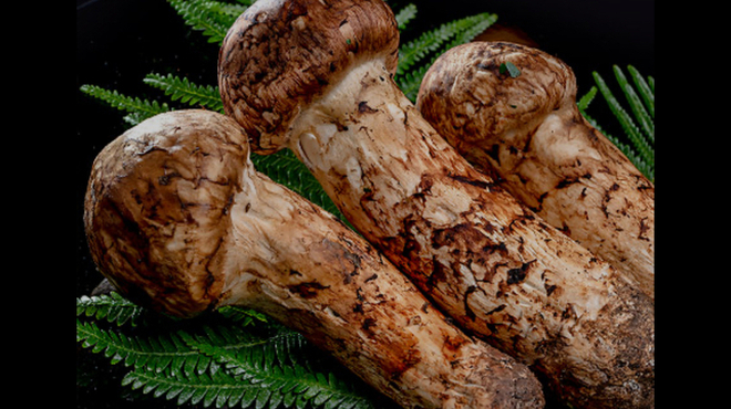 日本料理 五感 - メイン写真: