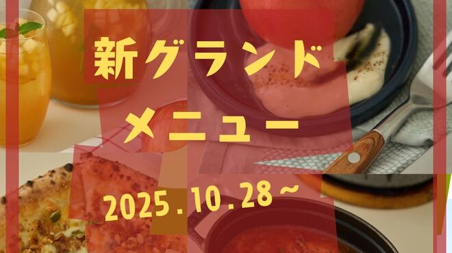 ワインの酒場。ディプント - メイン写真: