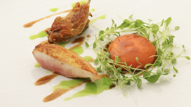 Saucer - メイン写真: