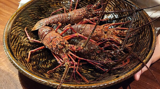 弧柳 - 料理写真: