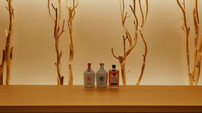 AUBERGE de SENVIE - メイン写真: