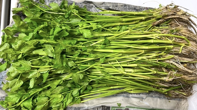 仙台藩 - メイン写真: