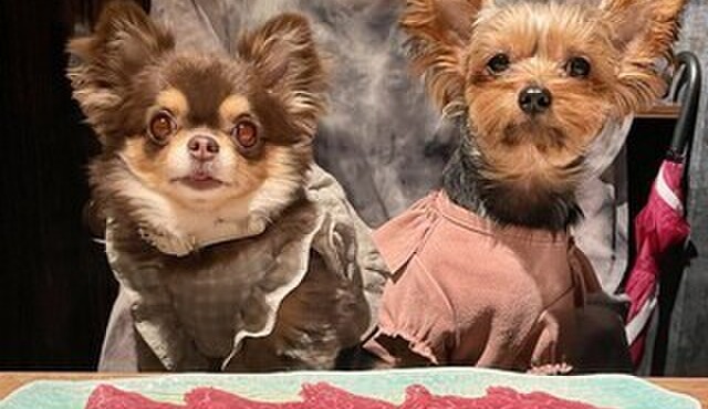 焼肉一七三 - メイン写真: