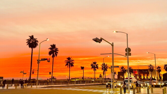 アロハテーブル - メイン写真: