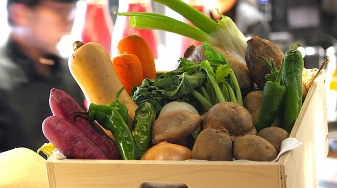 IN DISH - メイン写真: