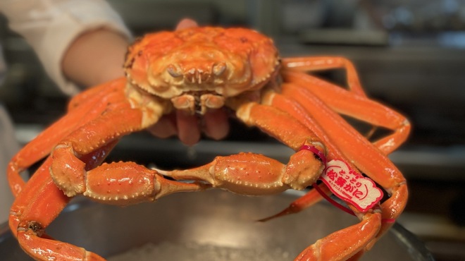 青山 星のなる木 - メイン写真: