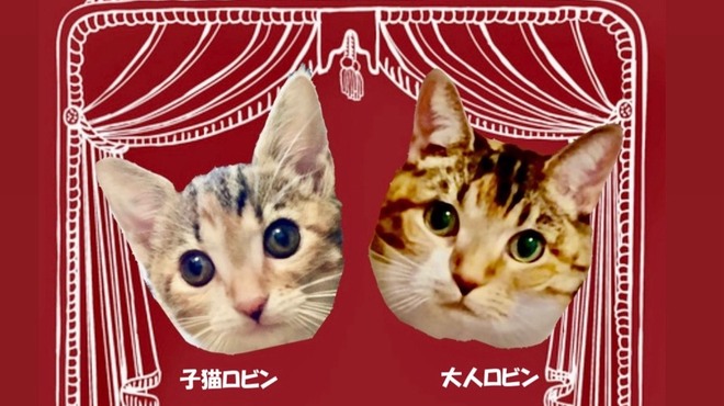 東京ロビン - メイン写真: