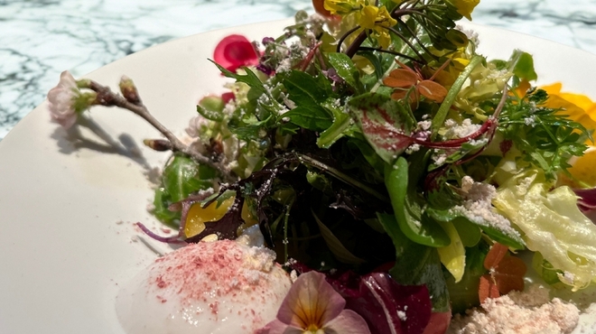 GinaGina - メイン写真: