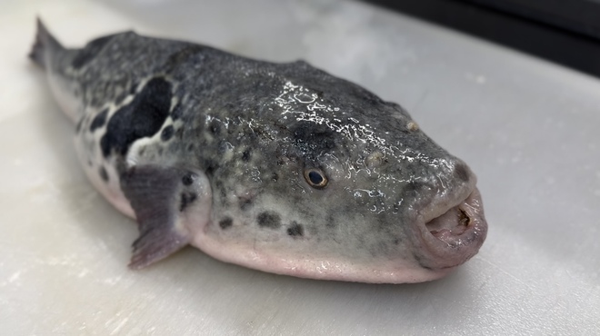 竹一 - メイン写真: