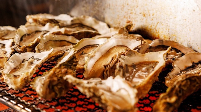 鶏闘士 - メイン写真: