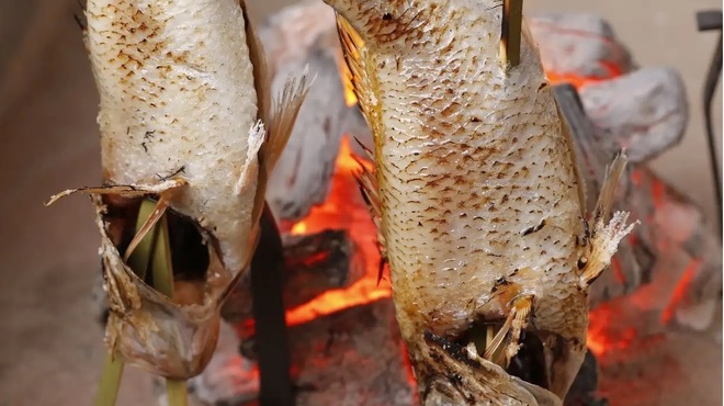 銀座方舟 大吟醸いろり店 - メイン写真: