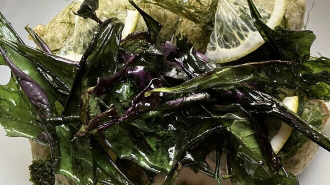 エンリコ - メイン写真: