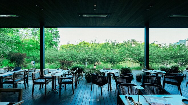 バードツリー - メイン写真: