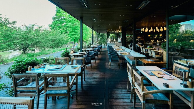 バードツリー - メイン写真: