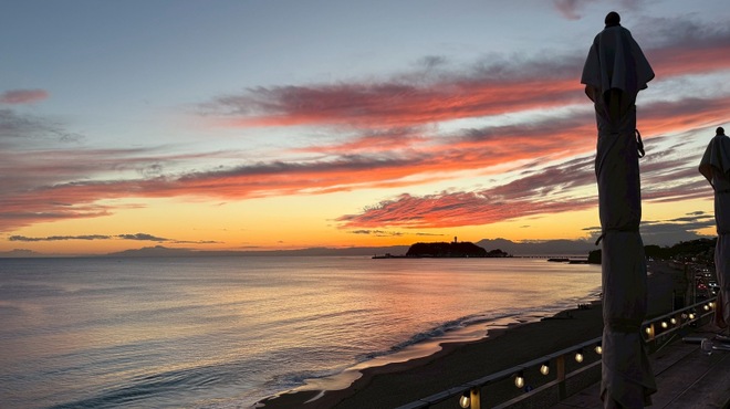 Double Doors NAVY - メイン写真: