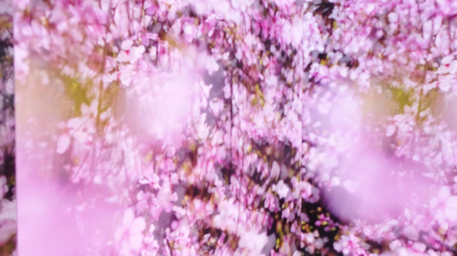 anonymous art cafe & bar - メイン写真: