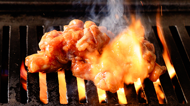 河童 - メイン写真: