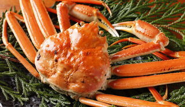 銀座方舟  大吟醸しずく店 - メイン写真: