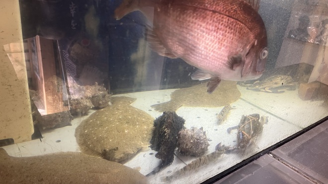 Seafood Choshu Yuda Ten