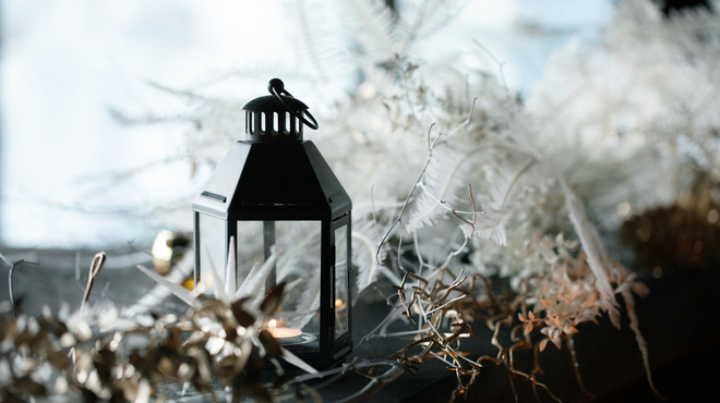 渋谷 Blue bird - メイン写真: